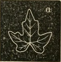 Picture 84 of 154 from Teachers' manual for freehand drawing in Intermediate schools : intended to accompany the drawing-books for intermediate schools (1878), leaf 178