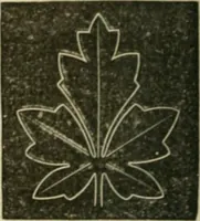 Picture 86 of 154 from Teachers' manual for freehand drawing in Intermediate schools : intended to accompany the drawing-books for intermediate schools (1878), leaf 179