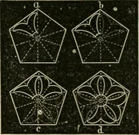 Picture 90 of 154 from Teachers' manual for freehand drawing in Intermediate schools : intended to accompany the drawing-books for intermediate schools (1878), leaf 185