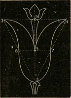 Picture 92 of 154 from Teachers' manual for freehand drawing in Intermediate schools : intended to accompany the drawing-books for intermediate schools (1878), leaf 192