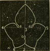 Picture 99 of 154 from Teachers' manual for freehand drawing in Intermediate schools : intended to accompany the drawing-books for intermediate schools (1878), leaf 199