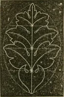 An illustration from Teachers' manual for freehand drawing in Intermediate schools : intended to accompany the drawing-books for intermediate schools (1878)
