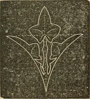 An illustration from Teachers' manual for freehand drawing in Intermediate schools : intended to accompany the drawing-books for intermediate schools (1878)