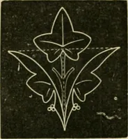 An illustration from Teachers' manual for freehand drawing in Intermediate schools : intended to accompany the drawing-books for intermediate schools (1878)