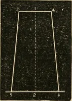 Picture 118 of 154 from Teachers' manual for freehand drawing in Intermediate schools : intended to accompany the drawing-books for intermediate schools (1878), leaf 214