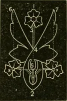Picture 122 of 154 from Teachers' manual for freehand drawing in Intermediate schools : intended to accompany the drawing-books for intermediate schools (1878), leaf 217