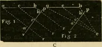 An illustration from Teachers' manual for freehand drawing in Intermediate schools : intended to accompany the drawing-books for intermediate schools (1878)