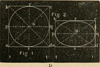 Picture 140 of 154 from Teachers' manual for freehand drawing in Intermediate schools : intended to accompany the drawing-books for intermediate schools (1878), leaf 260