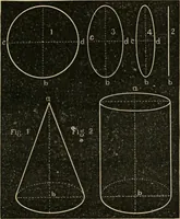 Picture 141 of 154 from Teachers' manual for freehand drawing in Intermediate schools : intended to accompany the drawing-books for intermediate schools (1878), leaf 272