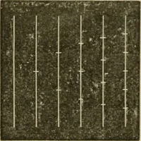 Picture 4 of 154 from Teachers' manual for freehand drawing in Intermediate schools : intended to accompany the drawing-books for intermediate schools (1878), leaf 45