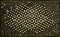 An illustration from Teachers' manual for freehand drawing in Intermediate schools : intended to accompany the drawing-books for intermediate schools (1878)