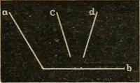 Picture 7 of 154 from Teachers' manual for freehand drawing in Intermediate schools : intended to accompany the drawing-books for intermediate schools (1878), leaf 58