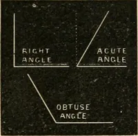 Picture 9 of 154 from Teachers' manual for freehand drawing in Intermediate schools : intended to accompany the drawing-books for intermediate schools (1878), leaf 62