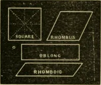 Picture 11 of 154 from Teachers' manual for freehand drawing in Intermediate schools : intended to accompany the drawing-books for intermediate schools (1878), leaf 69