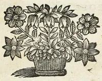 Picture 7 of 16 from Cabinet des singularitez dárchitecture, peinture, sculpture, et graveure : ou, Introduction a la connoissance des plus beaux arts, figurés sous les tableaux, les statuës, & les estampes (1699), leaf 201