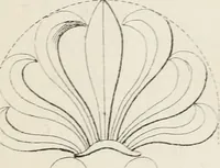 An illustration from The cabinet-maker and upholsterer's companion ... and a number of receipts .. (1850)