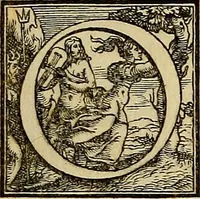 An illustration from Omnivm Caesarvm verissimae imagines ex antiqvis nvmismatis desvmptae : addita per brevi cvivsque vitae descriptiones ac diligenti eorvm, qvae reperiri potvervnt nvmismatvm, aversae partis delineatione. Libri primi (1554)