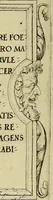 An illustration from Omnivm Caesarvm verissimae imagines ex antiqvis nvmismatis desvmptae : addita per brevi cvivsque vitae descriptiones ac diligenti eorvm, qvae reperiri potvervnt nvmismatvm, aversae partis delineatione. Libri primi (1554)