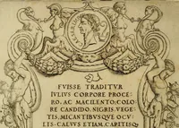 An illustration from Omnivm Caesarvm verissimae imagines ex antiqvis nvmismatis desvmptae : addita per brevi cvivsque vitae descriptiones ac diligenti eorvm, qvae reperiri potvervnt nvmismatvm, aversae partis delineatione. Libri primi (1554)