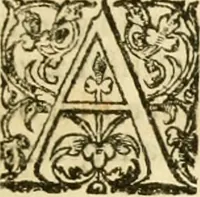 An illustration from Caii Suetonii Tranquilli de xii Caesaribus libri viii : eiusdem de illustribus grammaticis et de claris rhetoribus : Isaacus Casaubonus ex fide vetustissimorum librorum recensuit & libros adiecit animadversionum (1611)