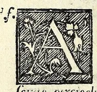 An illustration from Calandra : comedia (1569)