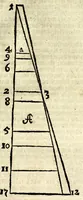 An illustration from Calendarium perpetuum universale, das ist, Immerwährender allgemeiner Calender : der Natur und Zucht, Kunst und Wissenschafft, Tugend und Gesundheit, Vernunfft und Weisheit, Wirthschafft und Vergnüglichkeit, Erbauung der Gemüts-Ruhe und Pflanzung der Seeligkeit : hohen, mittleren und niedrigen Standes-Personen auf den Horizont des Christl. Microcosmi gerichtet, und mit herrlichen Arcanitäten zu jedermännigliches besten bereichert und an das Tages-Licht geben : auch mit unterschiedlichen darzu nutzlichen und dienlichen Figuren gezieret (1707)