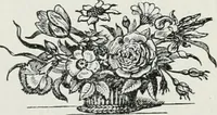Picture 3 of 3 from Calendar of customs, superstitions, weather-lore, popular sayings, and important events connected with the county of Somerset (1920), leaf 113