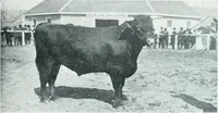 An illustration from Calgary (1912)