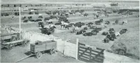 An illustration from Calgary (1912)