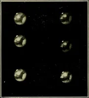 An illustration from The call of the stars; a popular introduction to a knowledge of the starry skies with their romance and legend (1919)