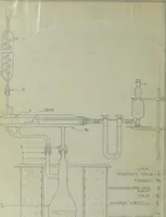 An illustration from Calorific values of American woods (1916)