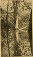 An illustration from Camp and outing activities (1915)