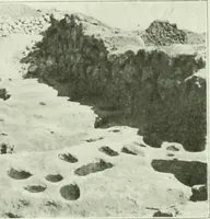 An illustration from Canaan d'après l'exploration récente (1907)