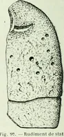 Picture 84 of 239 from Canaan d'après l'exploration récente (1907), leaf 175