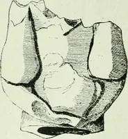 An illustration from Canaan d'après l'exploration récente (1907)