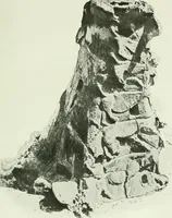 An illustration from Canaan d'après l'exploration récente (1907)