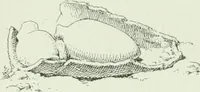 An illustration from Canaan d'après l'exploration récente (1907)