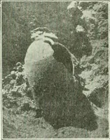 An illustration from Canaan d'après l'exploration récente (1907)