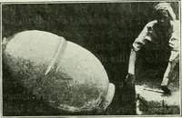 Picture 146 of 239 from Canaan d'après l'exploration récente (1907), leaf 314