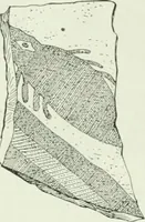 An illustration from Canaan d'après l'exploration récente (1907)