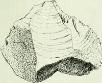 An illustration from Canaan d'après l'exploration récente (1907)