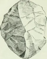 An illustration from Canaan d'après l'exploration récente (1907)