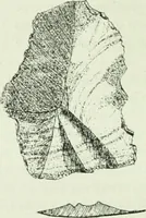 An illustration from Canaan d'après l'exploration récente (1907)