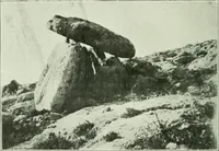 An illustration from Canaan d'après l'exploration récente (1907)