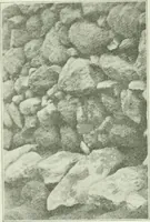 An illustration from Canaan d'après l'exploration récente (1907)