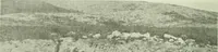 An illustration from Canaan d'après l'exploration récente (1907)