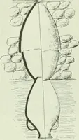 Picture 44 of 239 from Canaan d'après l'exploration récente (1907), leaf 97