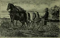 An illustration from The Canadian farm annual for 1880 published in Connection with the Weekly Mail (1880)