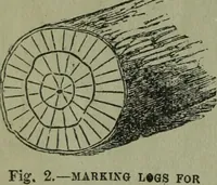 An illustration from The Canadian farm annual for 1880 published in Connection with the Weekly Mail (1880)