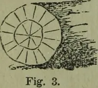 An illustration from The Canadian farm annual for 1880 published in Connection with the Weekly Mail (1880)